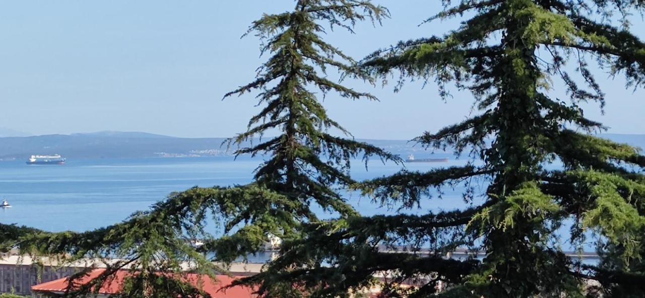 Villa Sunci Rijeka Eksteriør billede